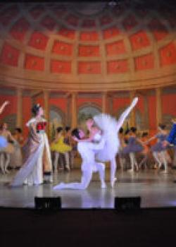 8x12-Print-40-300x200